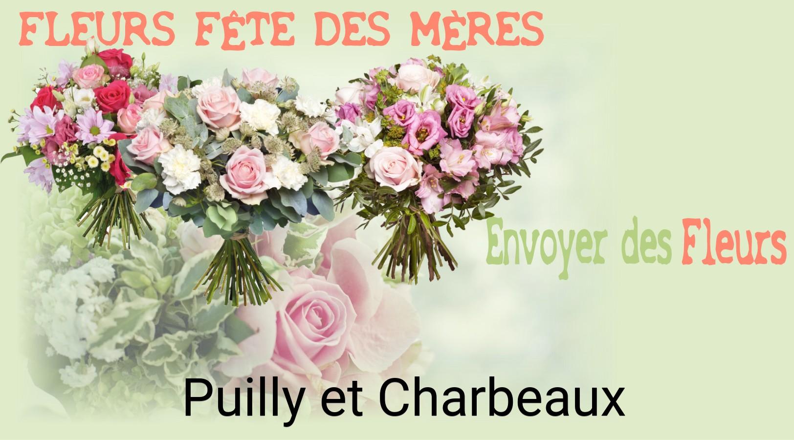 Bouquet de Fête des Mères livré à Puilly-et-Charbeaux